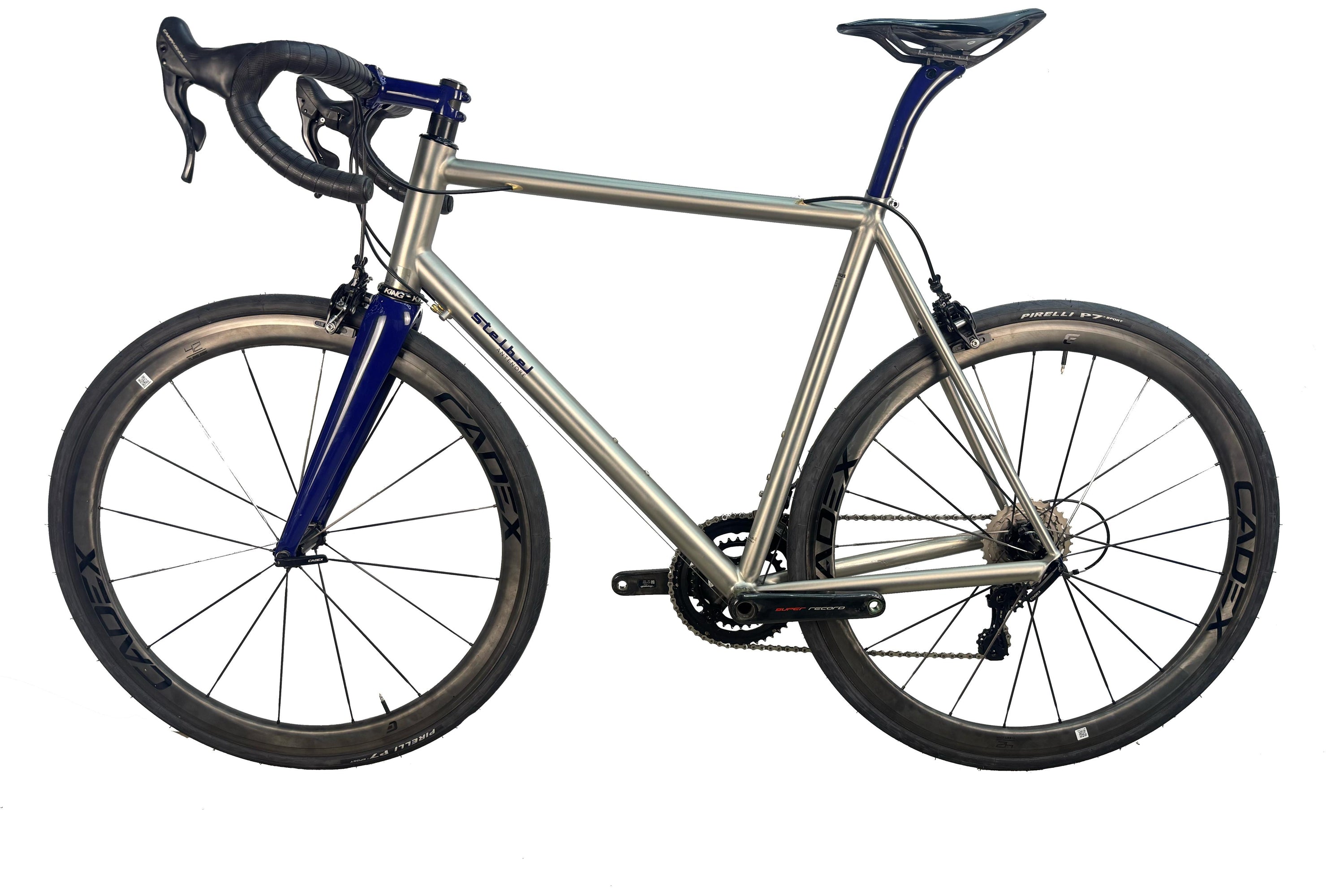 Stelbel Antenore Custom 2023 Talla L