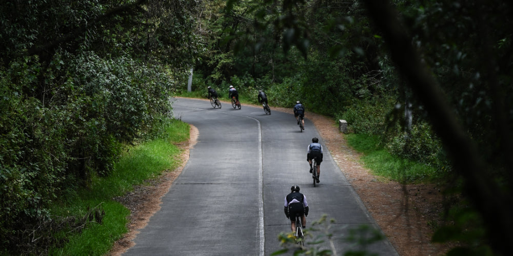 Bicicletas