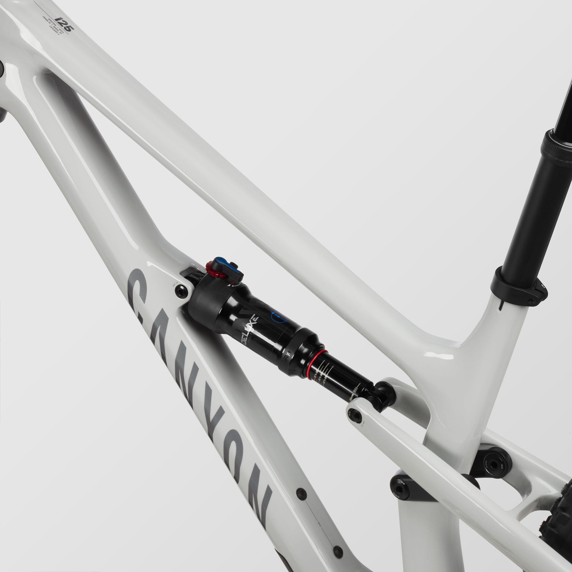Canyon Spectral 125 CF 7 2024 Talla M