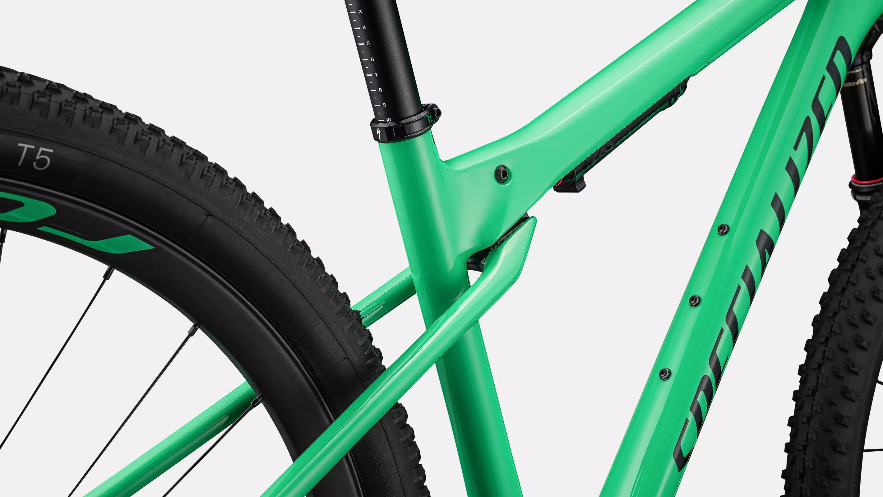 Specialized Epic World Cup Expert Verde 2024 Talla XL *Cero Kilómetros*