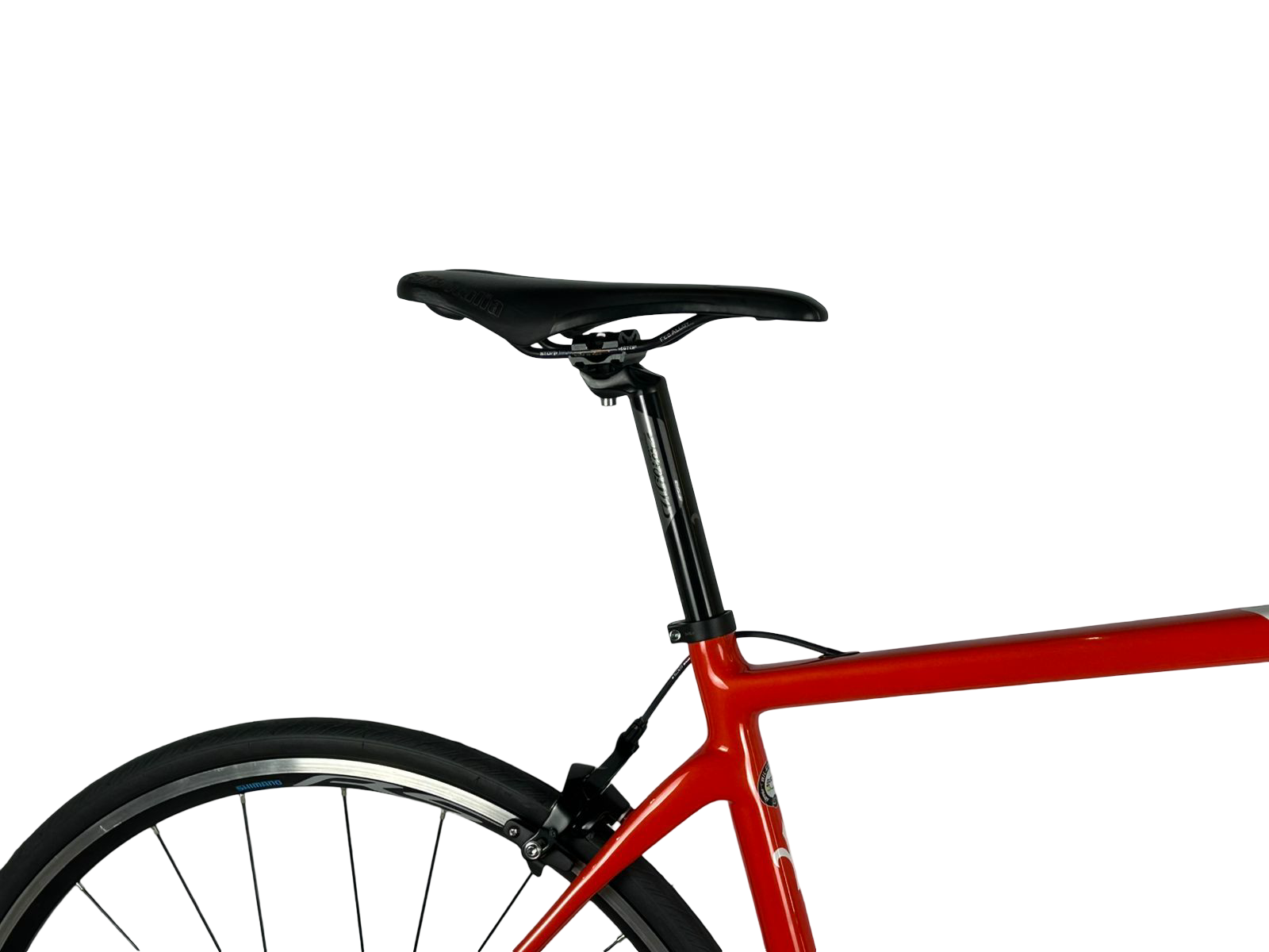 Wilier GTR Team 2024 Talla L