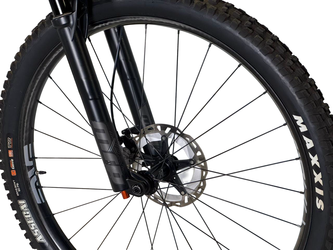 Moots Womble 2024 Talla L