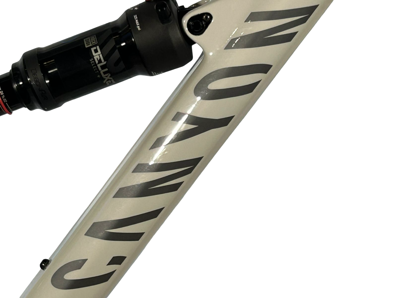 Canyon Spectral 125 CF 7 2024 Talla M