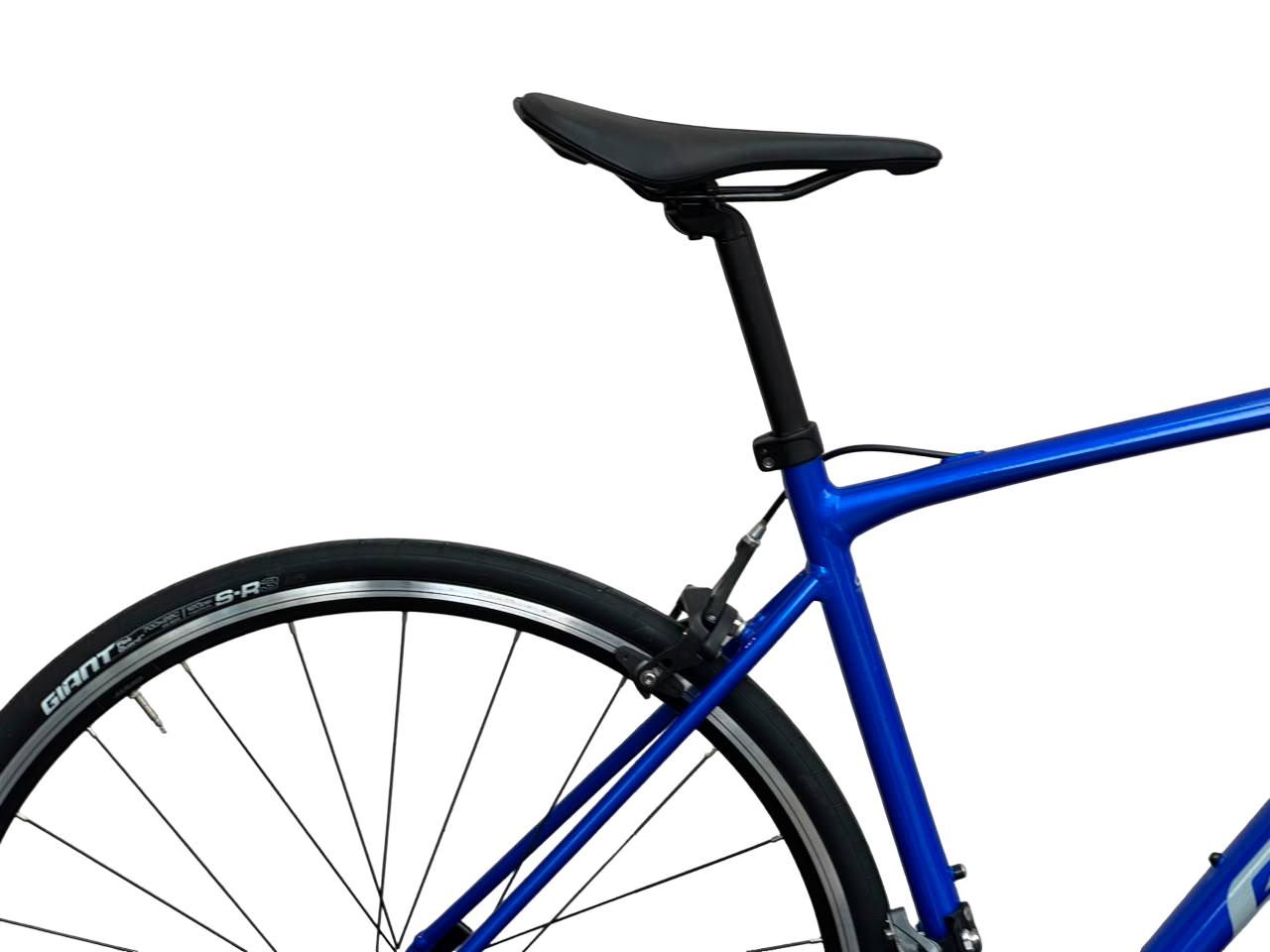 Giant Contend 3 2024