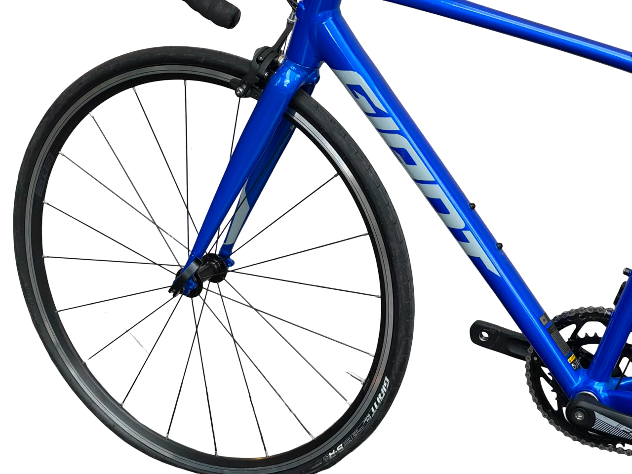 Giant Contend 3 2024